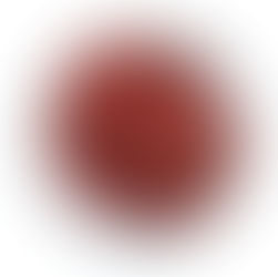 한국의 맛, 전통장을 말하다. “한국의 맛은 장에서 시작된다”