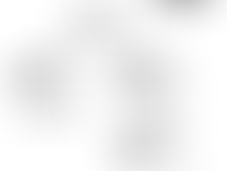 A RCT of the Social Tools And Rules for Teens Program for adolescents with ASD (Vernon et al., 2018)