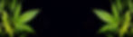 AdobeStock_416834386.jpeg