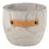 Thumbnail: I Will Survive Planter