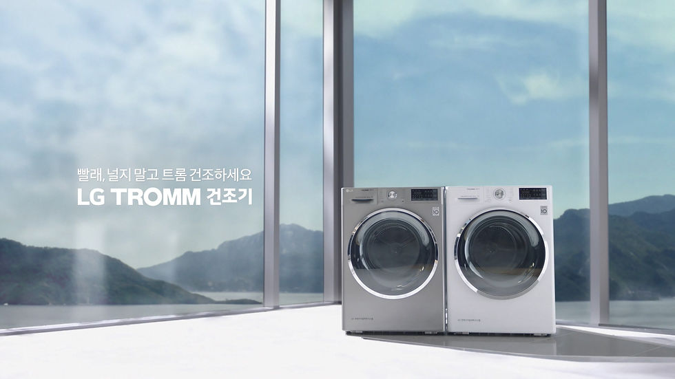 LG트롬건조기