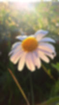 20250809_063333.jpg