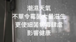 【惱人霉菌】霉菌的成因與預防方法