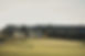 DSC09305.jpeg