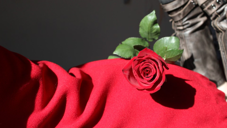 I know a story about a Rose