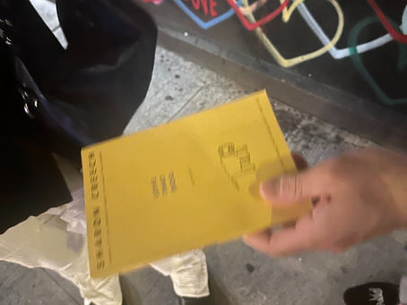 NYFW & an Update on my Novel
