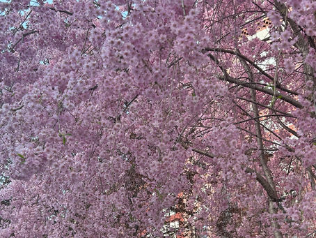 On Loving / On Living