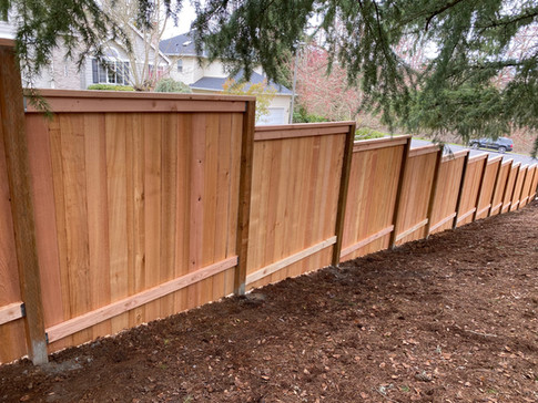 Solid Cedar Fence (Rail Side)