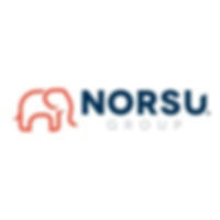 norsugroup_logo.jpeg