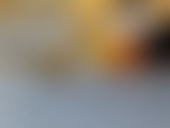 טיפול בעזרת בעלי חיים: מרחב השלכתי, חווייתי ודינמי לילדים ולאנשים עם צרכים מיוחדים