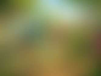 כשהסערה בפנים הופכת לשיח סביב משחק חוץ