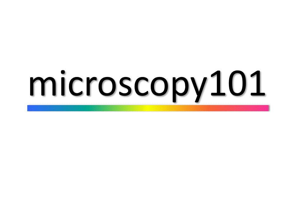 Microscopy training, Image Analysis