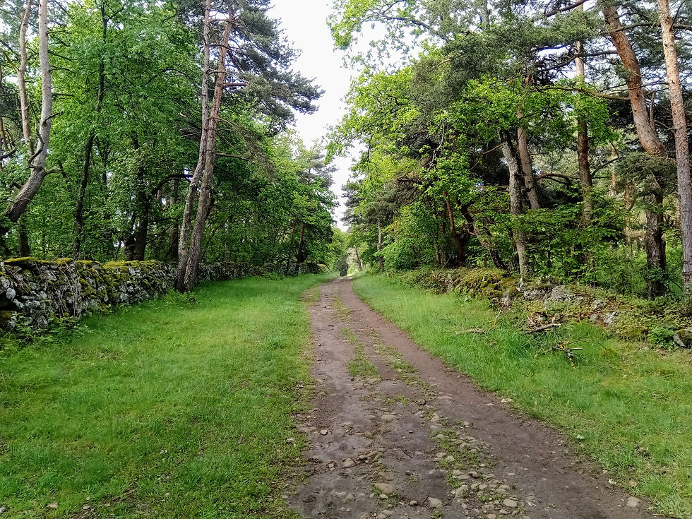 GR65 et chemin de Compostelle à Saint-Christophe-sur-Dolaison, en Haute-Loire