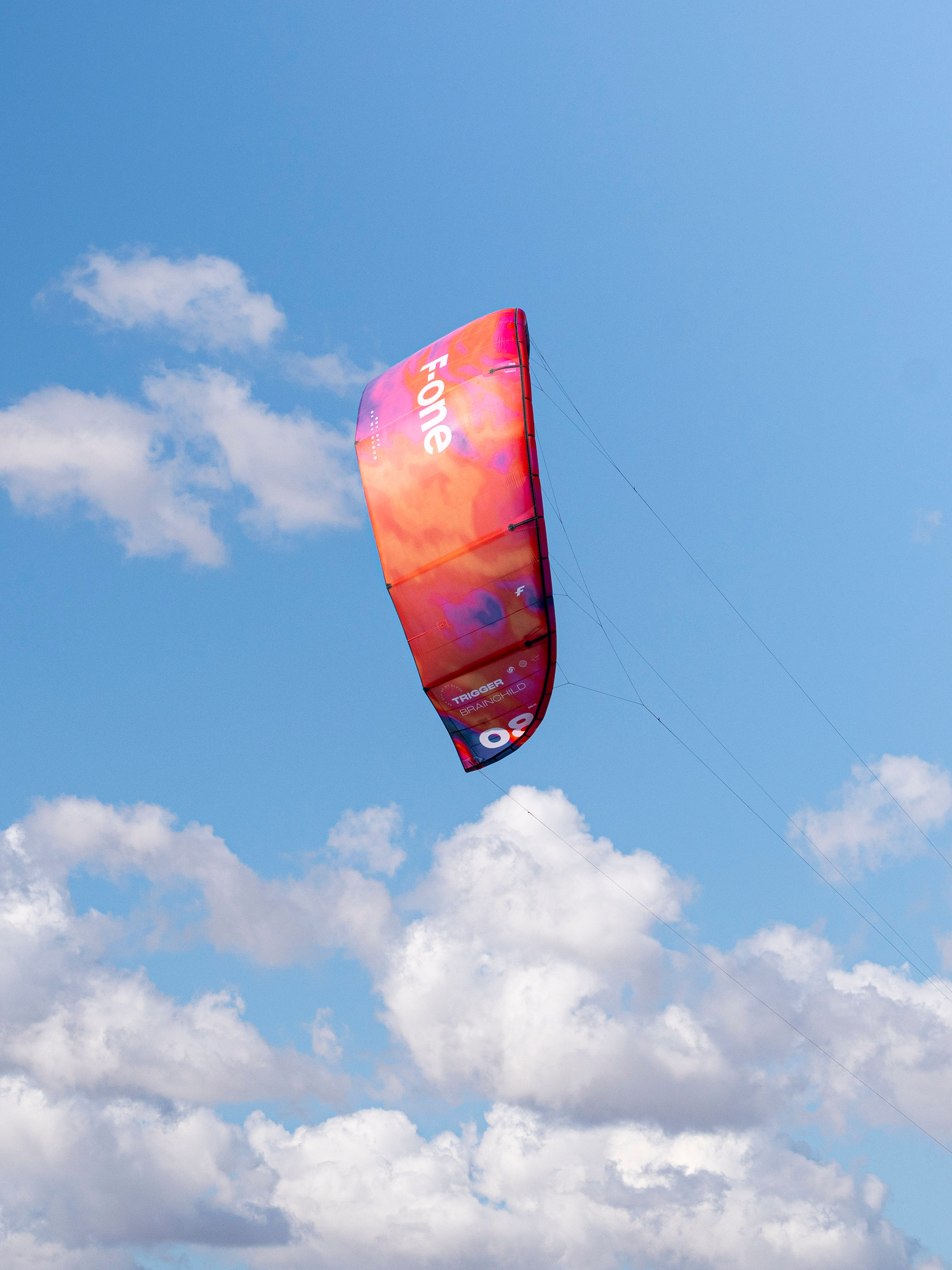 TRIGGER Brandchild 2025 - 8m