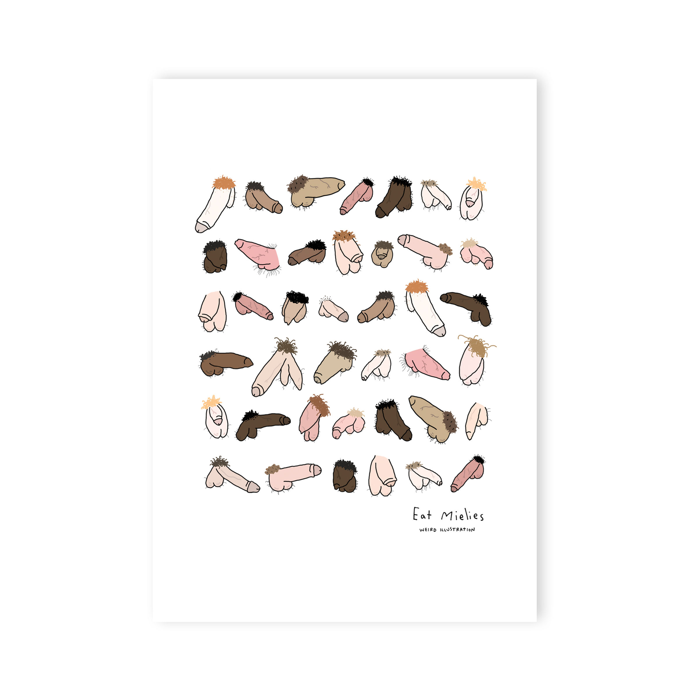 Hairy willies! A4 poster