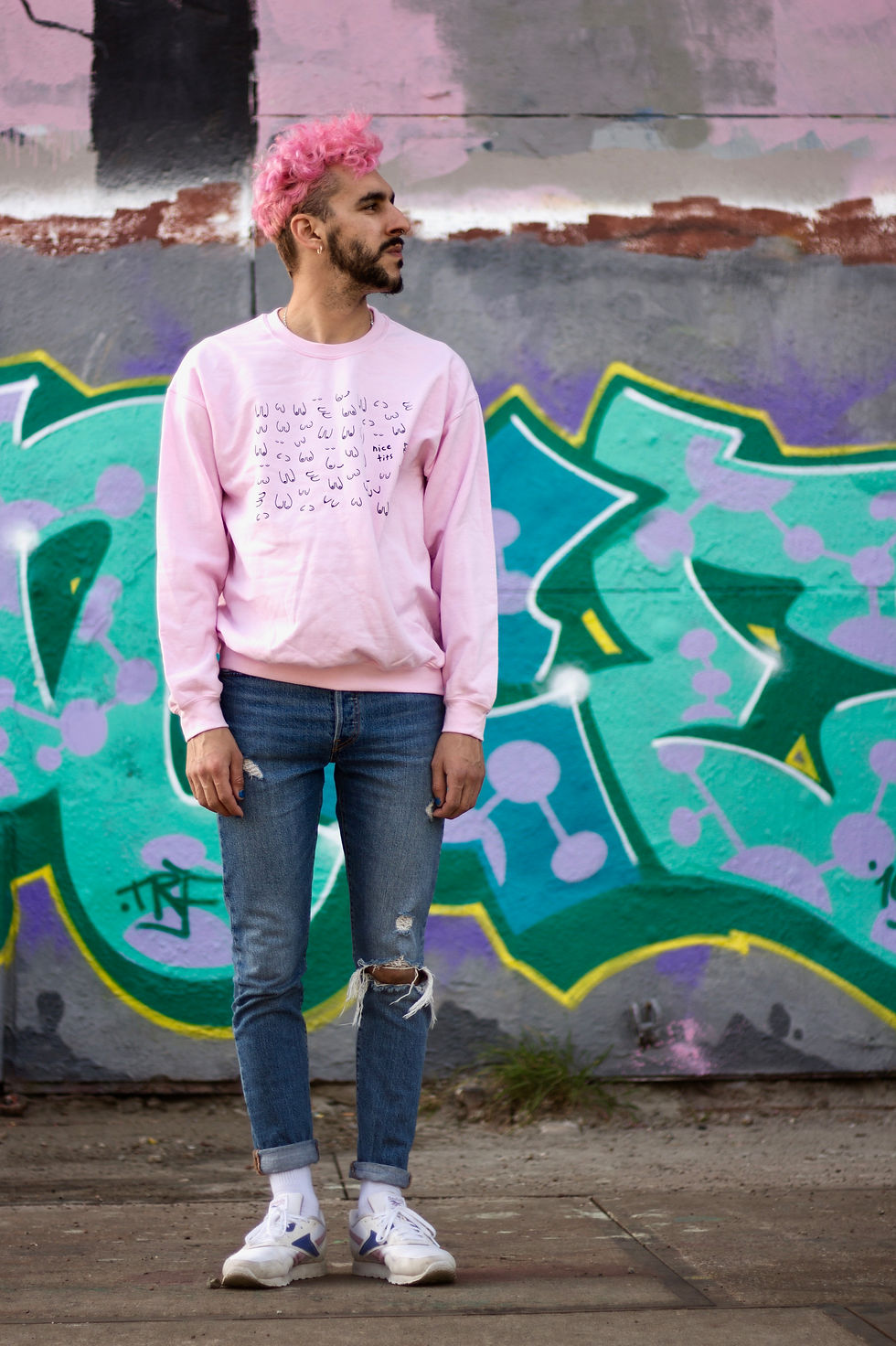 Μικρογραφία: Sweatshirt: Titties (pink or white)