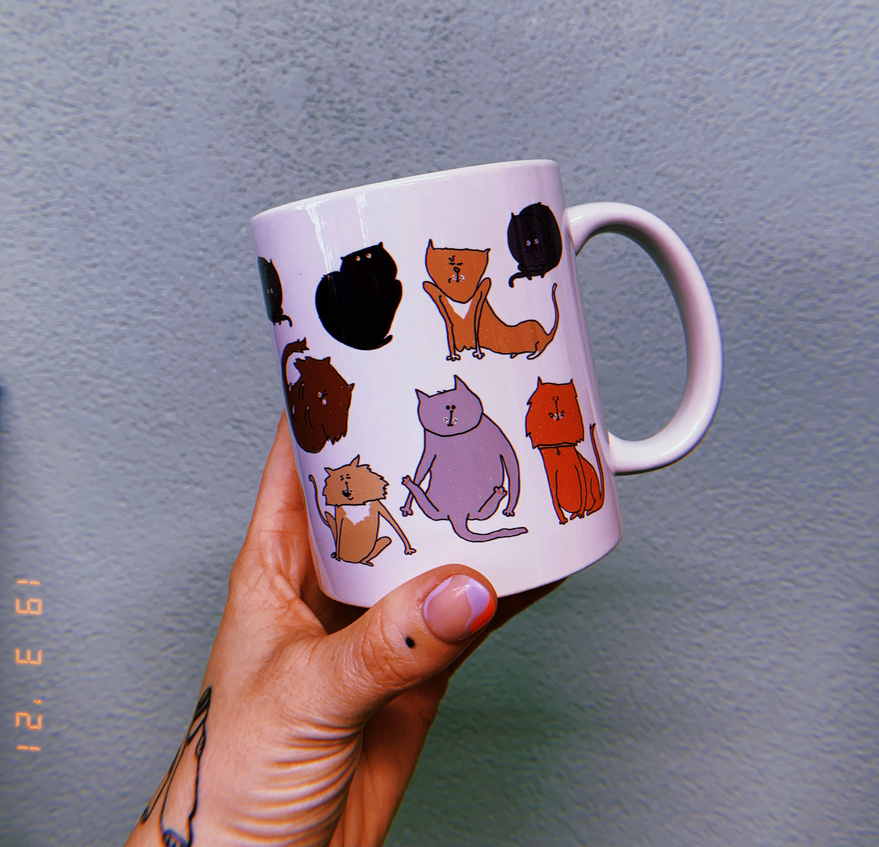 Mug&nbsp;: Chats étranges