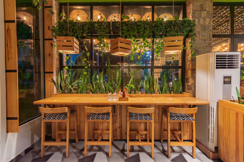 Wooden bar with chairs and plants. Restaurant with decorative lights and greenery