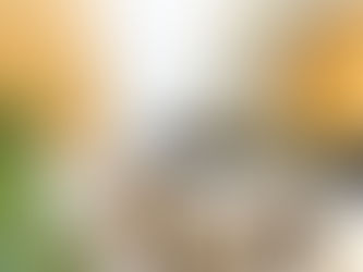 Modern living room with beige sofas, marble tables, staircase, and plants. Orange accent wall and colorful rug create a cozy, elegant vibe.