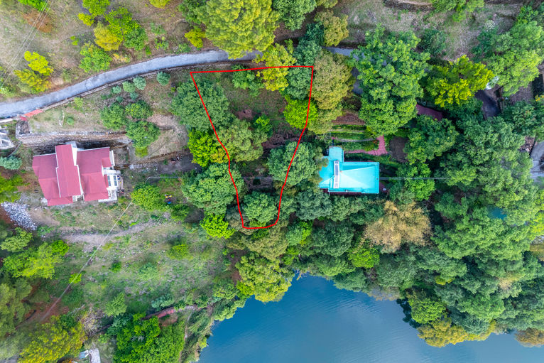 Aerial view of property with red outline and surrounding trees, SITE SURVEYING.