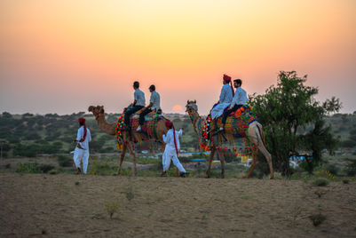 People riding camels at sunset in a desert landscape with colorful decorations.