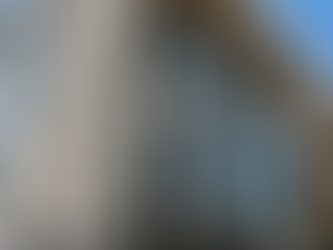 Blindagem Patrimonial: Como proteger seus imóveis de dívidas e riscos empresariais