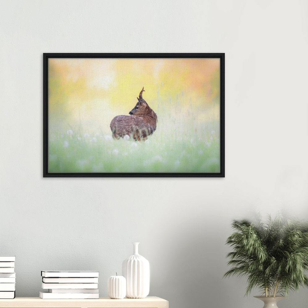 Rehbock auf Wiese II // Leinwand mit Rahmen