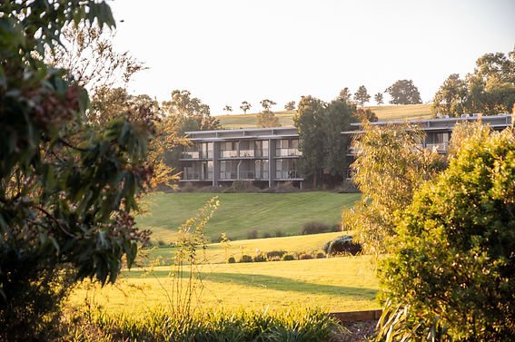 Autumn_Balgownie10.jpg
