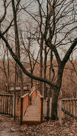 1368A477-D6E6-4B3F-902D-E01BED6851DC