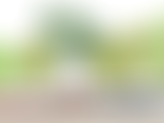 Shaping the future of Pells Pool