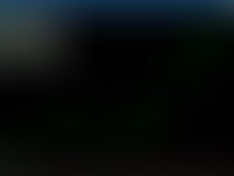 Palm (POGO) rises and buoys vegetable oils as Indonesia targets 50% bio-blend