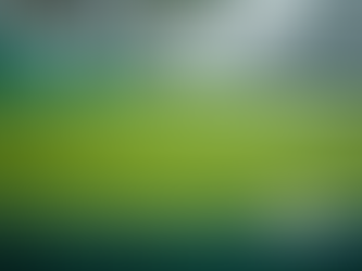 Emerging Trends in the Biofuel Market