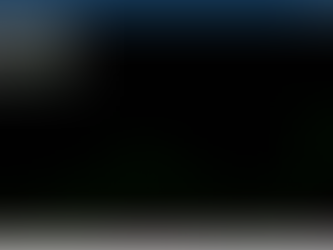 The RFS Island: D4 Near 2.00, Paranaguá FOB Soyoil –2000