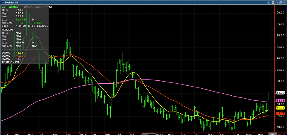 Soybean Oil