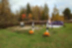 Goldfish Pond/Picnic Area