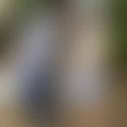 大田区萩中志誠會空手 第5回清掃活動 2023.7.9 ⑦