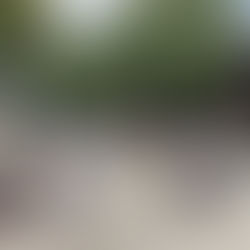 大田区萩中志誠會空手 第5回清掃活動 2023.7.9 ①