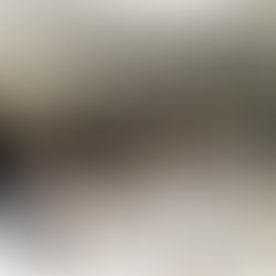 大田区 萩中 志誠會 空手 第2回親子組手ごっこ大会 2019.12.8