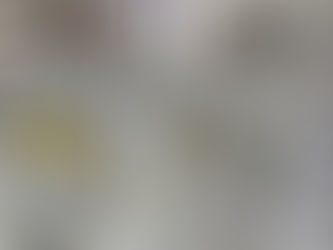 大田区 萩中 志誠會 空手 本大会に向けた組手大会ごっこ!2023.4.9 ㉝