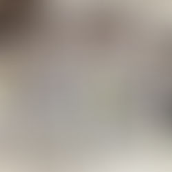 大田区 萩中 志誠會 空手 水曜18:00の部面々!