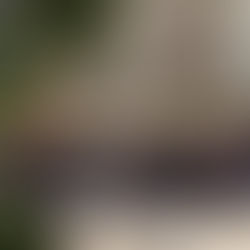 大田区 萩中 志誠會 空手 第3回清掃活動⑨ 2022.11.6