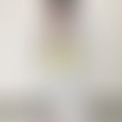 大田区 萩中 志誠會 空手 黄色帯になったおねえちゃん!