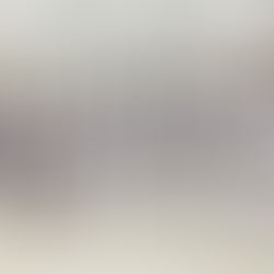 大田区 萩中 志誠會 空手 ファィティングトーナメント2025「夏の陣」入賞者