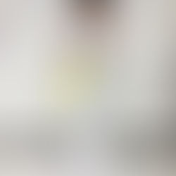 大田区 萩中 志誠會 空手 黄色帯になったぼくちゃん!