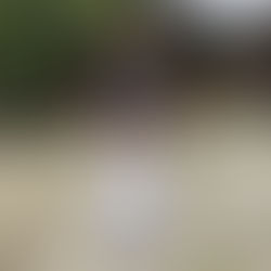 大田区 萩中 志誠會 空手 昇段試験前合宿③