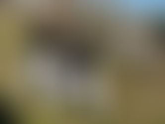 大田区 萩中 志誠會 空手 昇段試験前合宿 後期 2022.12.18 ④