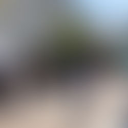 太田区 萩中 志誠會 空手 清掃活動第一回2022.4.10