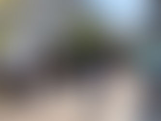 太田区 萩中 志誠會 空手 清掃活動第一回2022.4.10