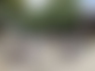 大田区萩中志誠會空手 第5回清掃活動 2023.7.9 ⑤