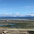 IMG_1778.jpeg